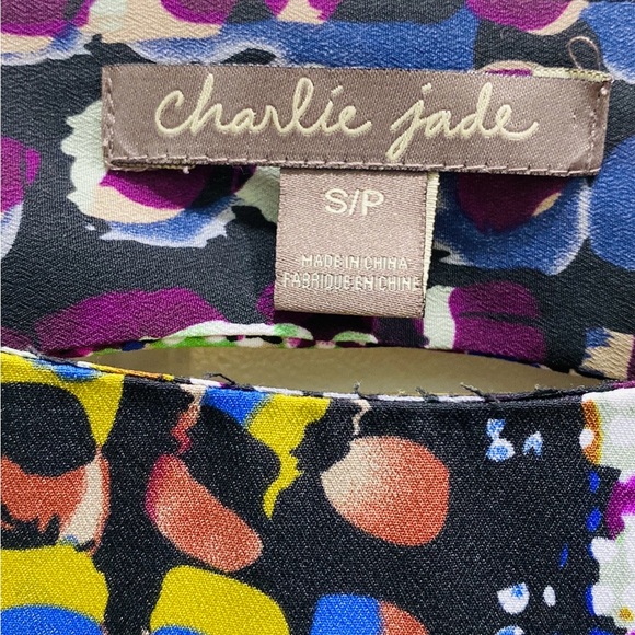 Charlie Jade Multicolor Abstract Boatneck 3/4 Sleeve Elastic Waist Lined Dress S - Picture 10 of 11